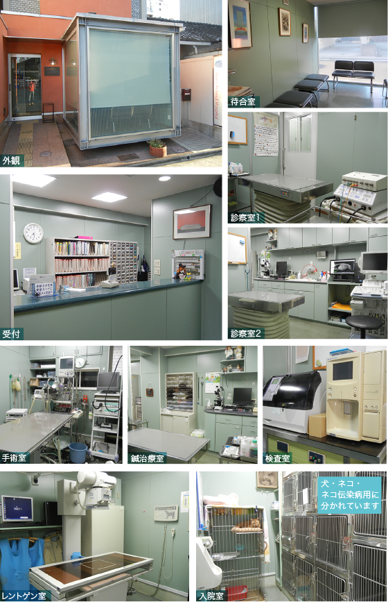 原獣医科病院のイメージ1