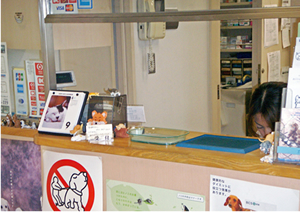 渡辺獣医科病院写真2