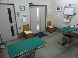 石川動物病院写真3