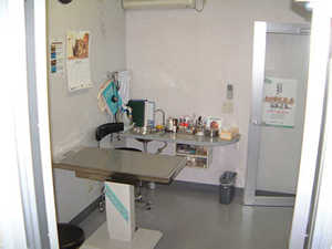 東名動物病院のイメージ3