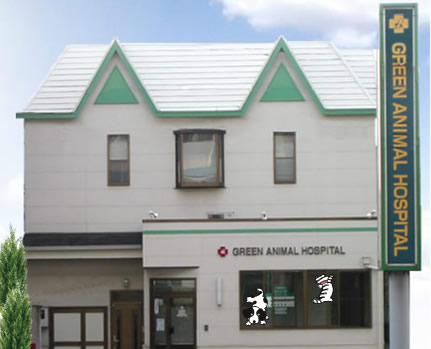 グリーン動物病院のイメージ1