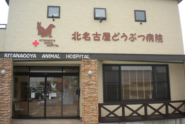 北名古屋どうぶつ病院のイメージ1