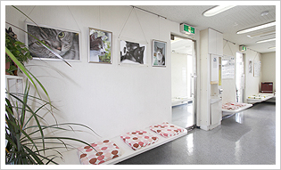 加藤犬猫病院写真3