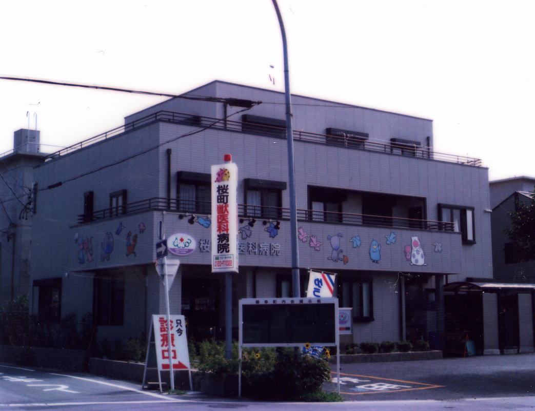 桜町動物病院写真