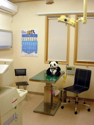 にじの丘動物病院写真4